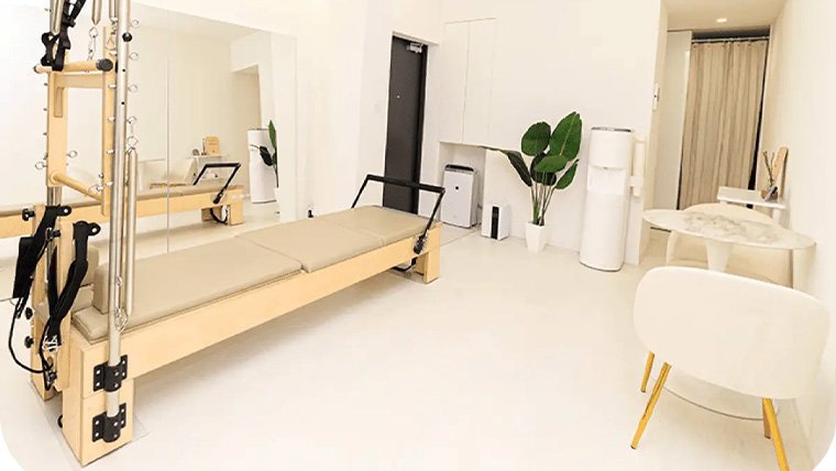 STUDIO IVY