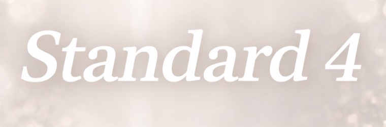 Standard4