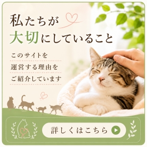 私たちが大切にしていること
