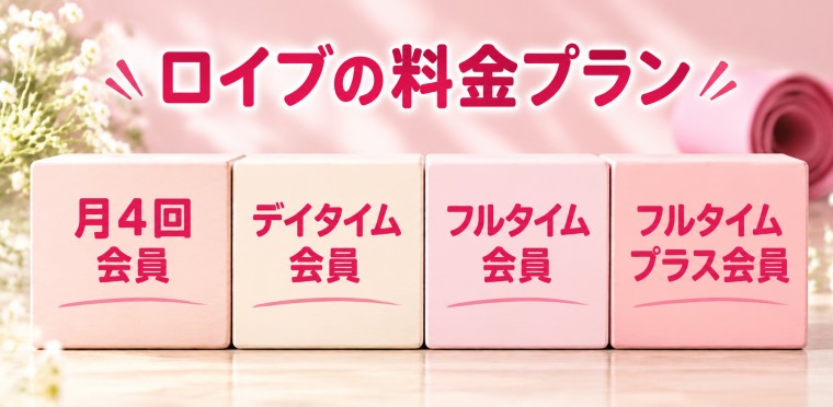 ロイブの料金プラン